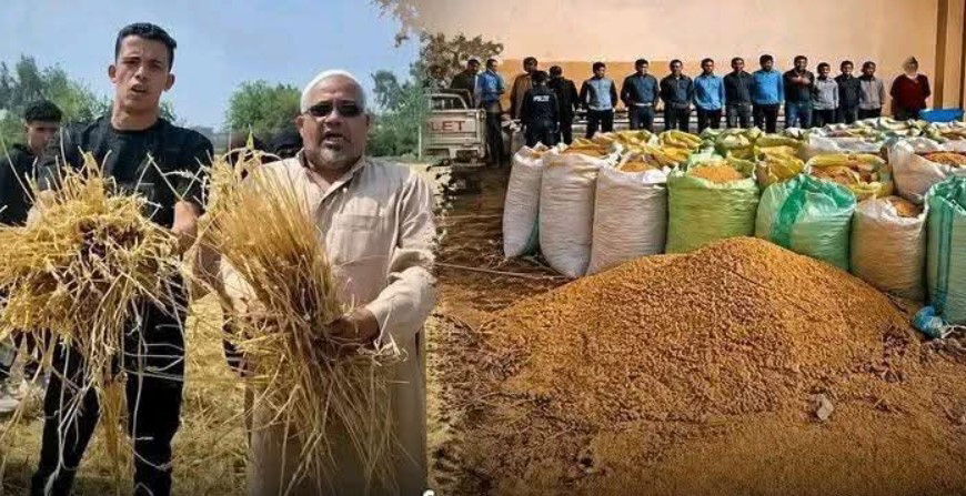 لغز سرقة القمح في الشرقية.. حصاد ليلي يكشف خلافات عمرها 10 سنوات